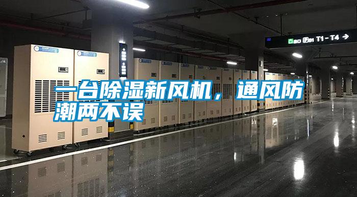 一臺除濕新風機，通風防潮兩不誤