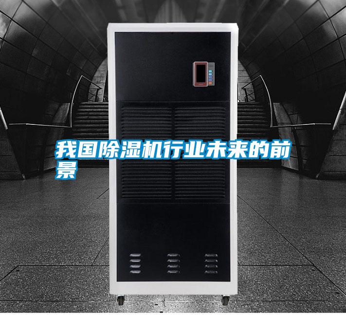 我國(guó)除濕機(jī)行業(yè)未來(lái)的前景
