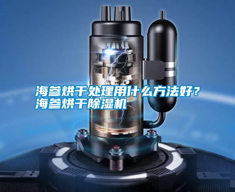 海參烘干處理用什么方法好？海參烘干除濕機(jī)