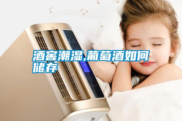 酒窖潮濕,葡萄酒如何儲(chǔ)存