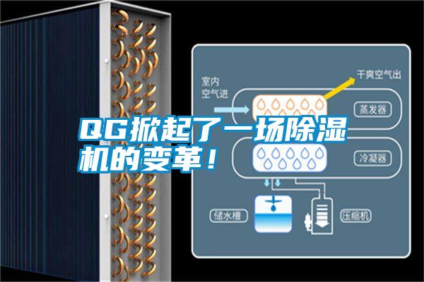 QG掀起了一場除濕機的變革！