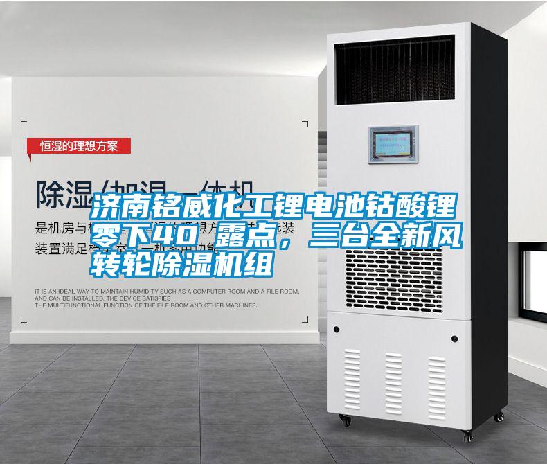 濟南銘威化工鋰電池鈷酸鋰零下40℃露點，三臺全新風轉輪除濕機組