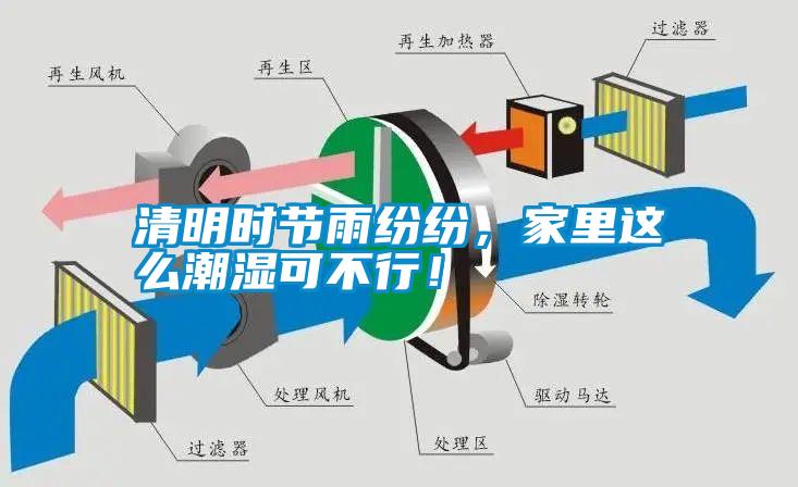 清明時(shí)節(jié)雨紛紛，家里這么潮濕可不行！