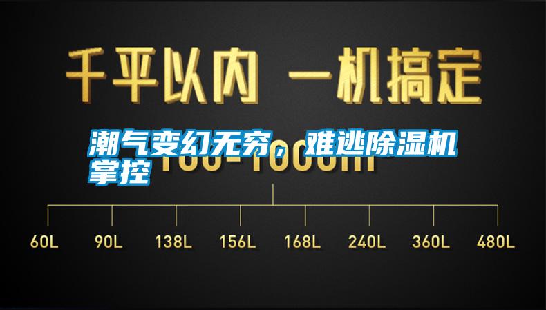 潮氣變幻無窮，難逃除濕機掌控