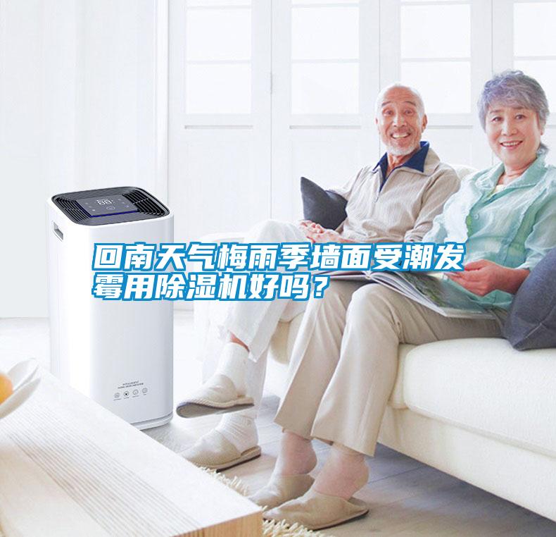 回南天氣梅雨季墻面受潮發(fā)霉用除濕機好嗎？