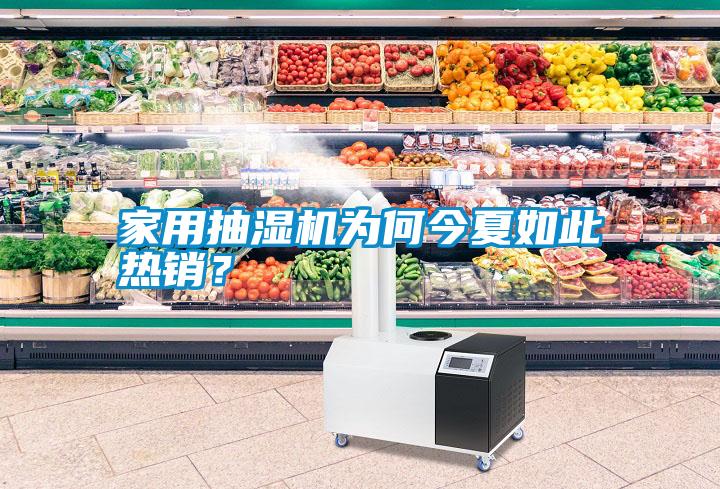 家用抽濕機為何今夏如此熱銷？