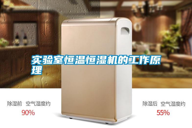 實(shí)驗(yàn)室恒溫恒濕機(jī)的工作原理