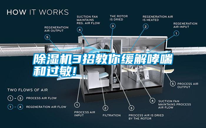 除濕機(jī)3招教你緩解哮喘和過敏!