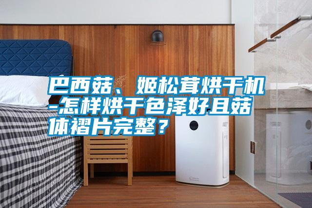 巴西菇、姬松茸烘干機-怎樣烘干色澤好且菇體褶片完整？