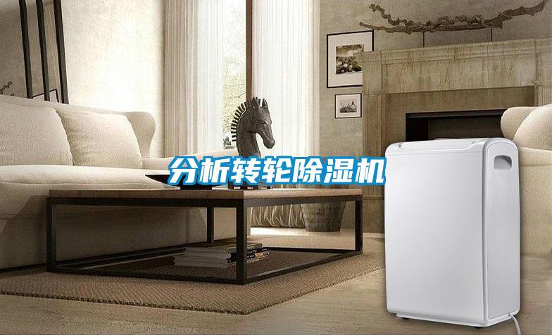 分析轉(zhuǎn)輪除濕機