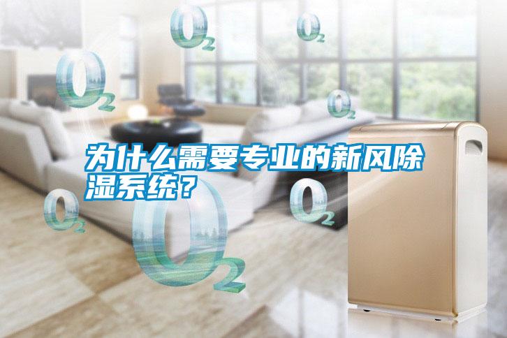 為什么需要專業的新風除濕系統？