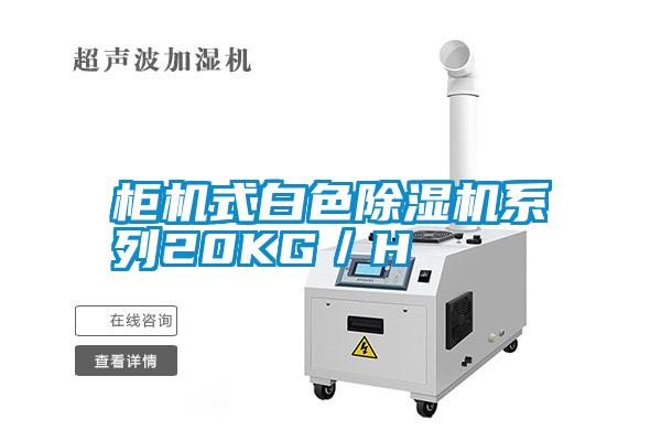 柜機(jī)式白色除濕機(jī)系列20KG/H