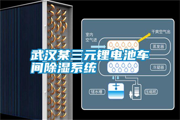 武漢某三元鋰電池車間除濕系統