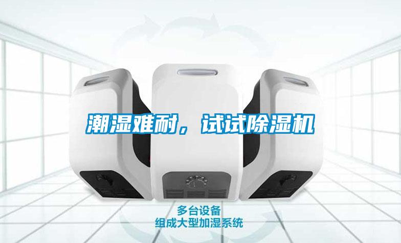潮濕難耐，試試除濕機(jī)