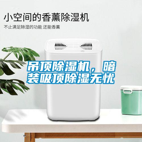 吊頂除濕機(jī)，暗裝吸頂除濕無(wú)憂
