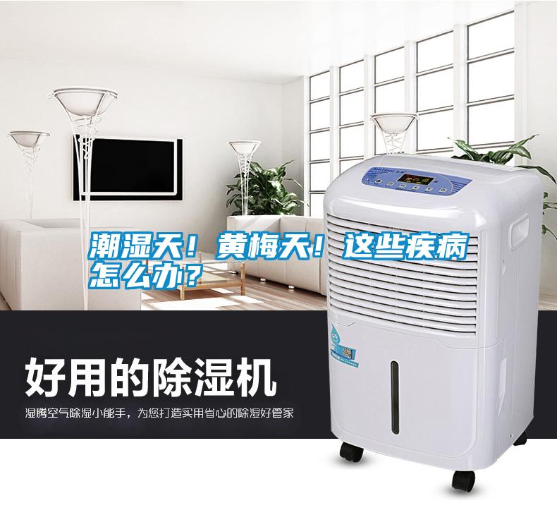 潮濕天！黃梅天！這些疾病怎么辦？
