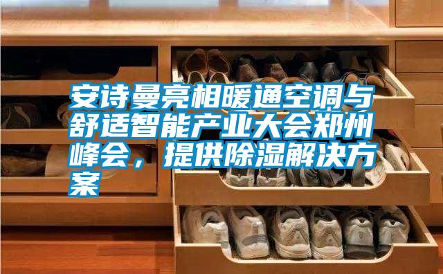 安詩曼亮相暖通空調與舒適智能產業大會鄭州峰會，提供除濕解決方案