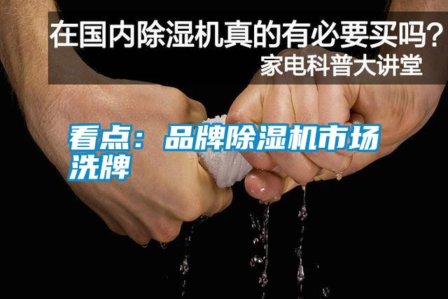 看點(diǎn)：品牌除濕機(jī)市場洗牌