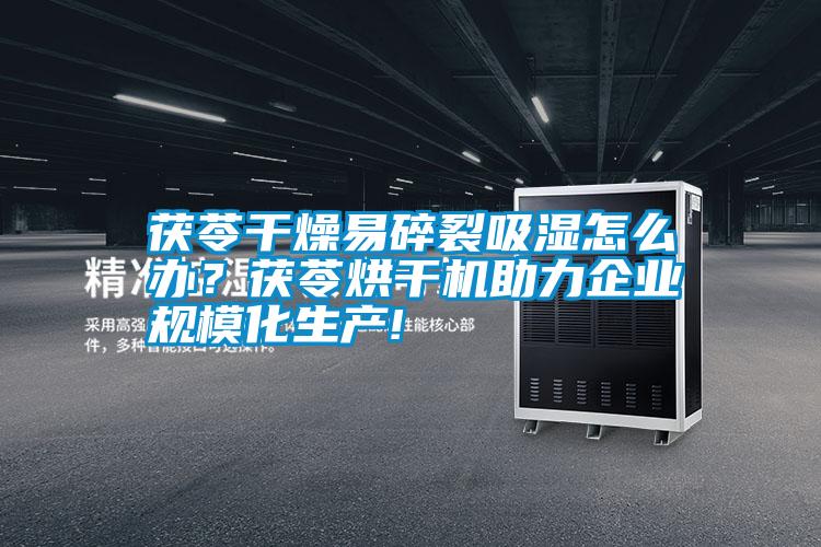 茯苓干燥易碎裂吸濕怎么辦？茯苓烘干機(jī)助力企業(yè)規(guī)模化生產(chǎn)!