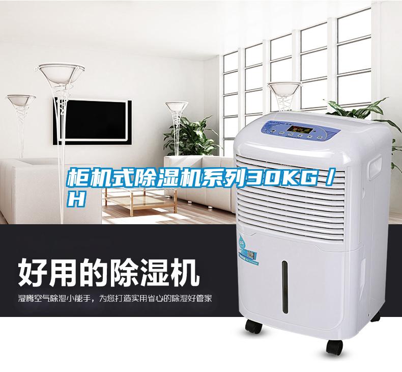 柜機(jī)式除濕機(jī)系列30KG/H