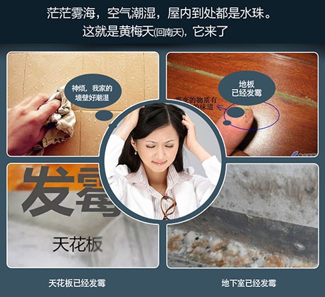 酒店、餐廳這么潮，誰(shuí)還放心？除濕機(jī)用起來(lái)啊
