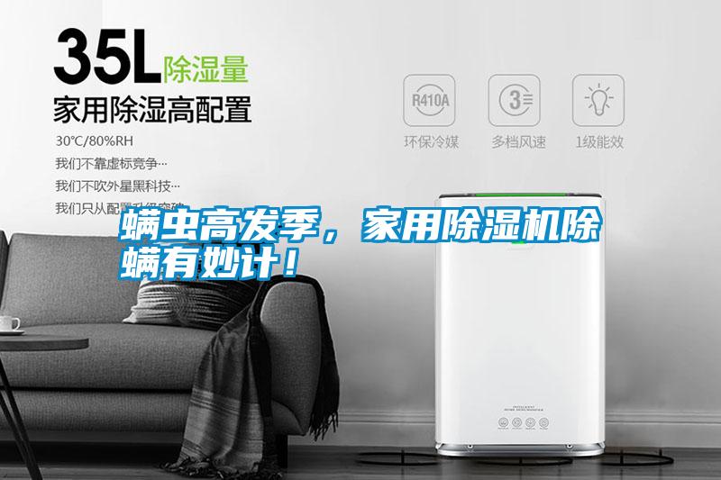 螨蟲高發季，家用除濕機除螨有妙計！