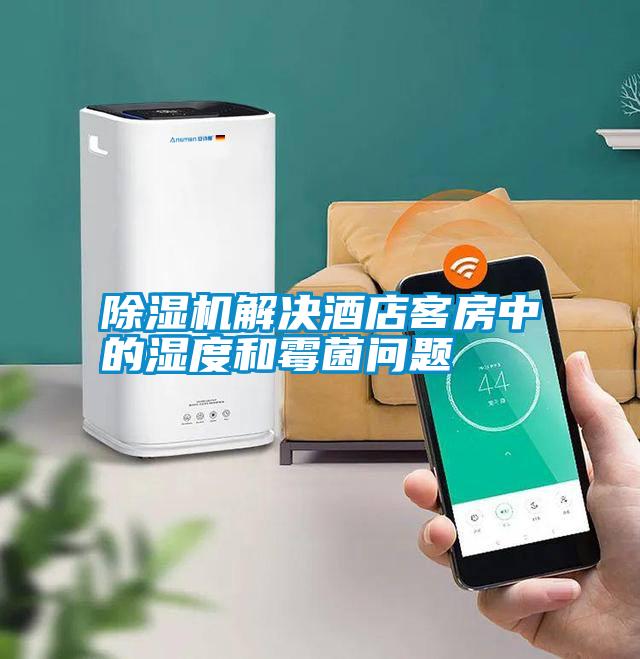 除濕機(jī)解決酒店客房中的濕度和霉菌問題