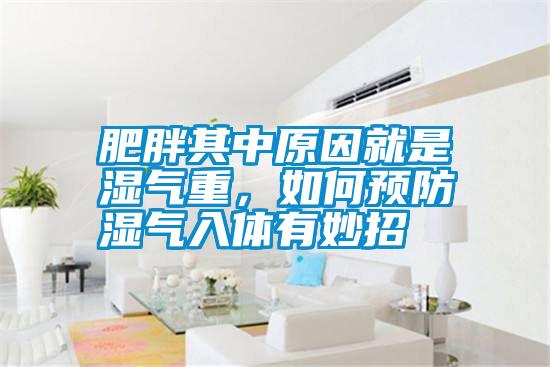 肥胖其中原因就是濕氣重，如何預(yù)防濕氣入體有妙招