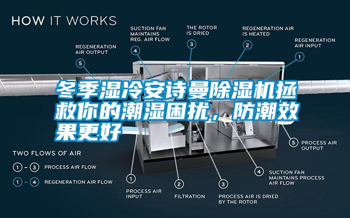 冬季濕冷安詩曼除濕機拯救你的潮濕困擾，防潮效果更好