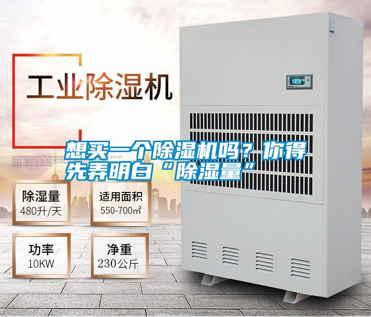 想買(mǎi)一個(gè)除濕機(jī)嗎？你得先弄明白“除濕量”