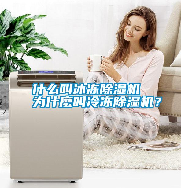 什么叫冰凍除濕機 為什麼叫冷凍除濕機？