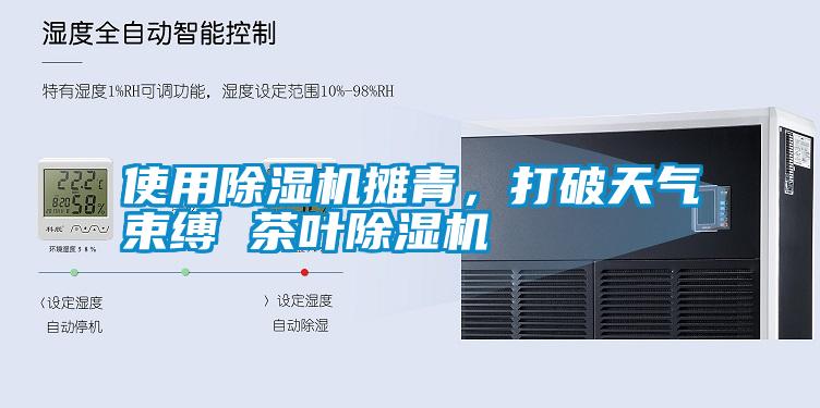 使用除濕機攤青，打破天氣束縛 茶葉除濕機