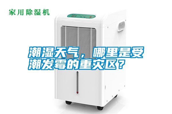 潮濕天氣，哪里是受潮發(fā)霉的重災(zāi)區(qū)？