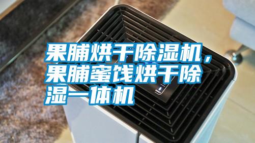果脯烘干除濕機，果脯蜜餞烘干除濕一體機