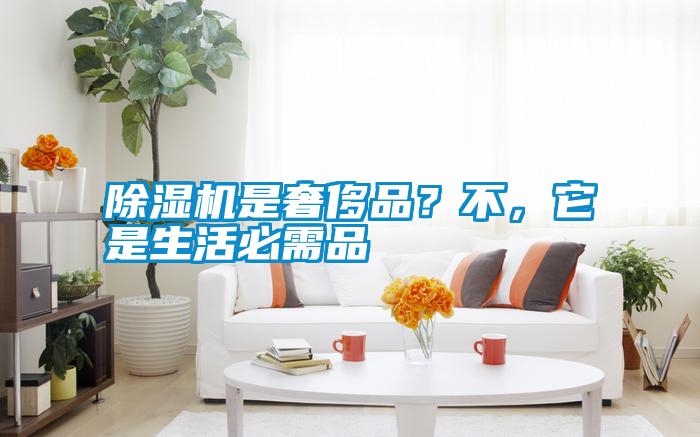 除濕機是奢侈品？不，它是生活必需品