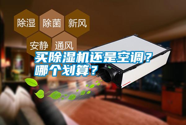 買除濕機(jī)還是空調(diào)？哪個(gè)劃算？