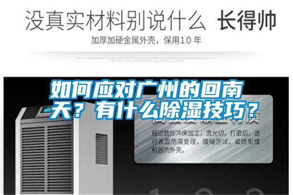 如何應對廣州的回南天？有什么除濕技巧？