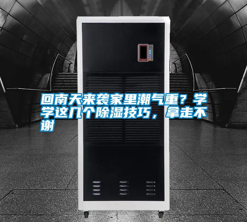 回南天來襲家里潮氣重？學學這幾個除濕技巧，拿走不謝