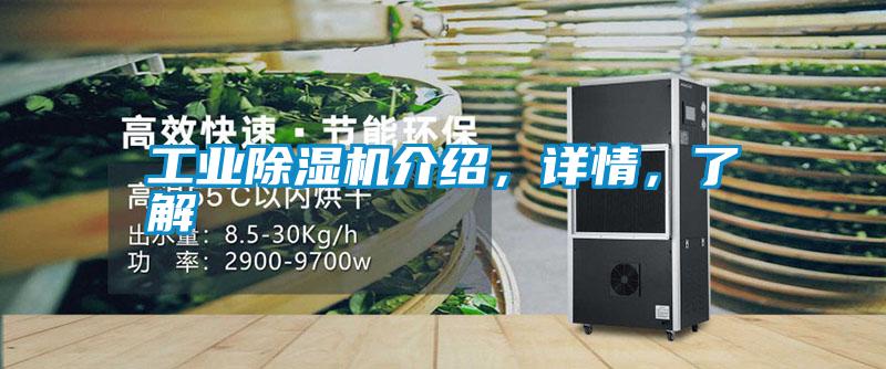 工業(yè)除濕機介紹，詳情，了解