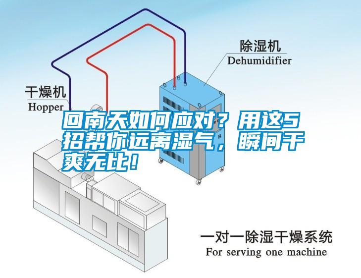 回南天如何應對？用這5招幫你遠離濕氣，瞬間干爽無比！