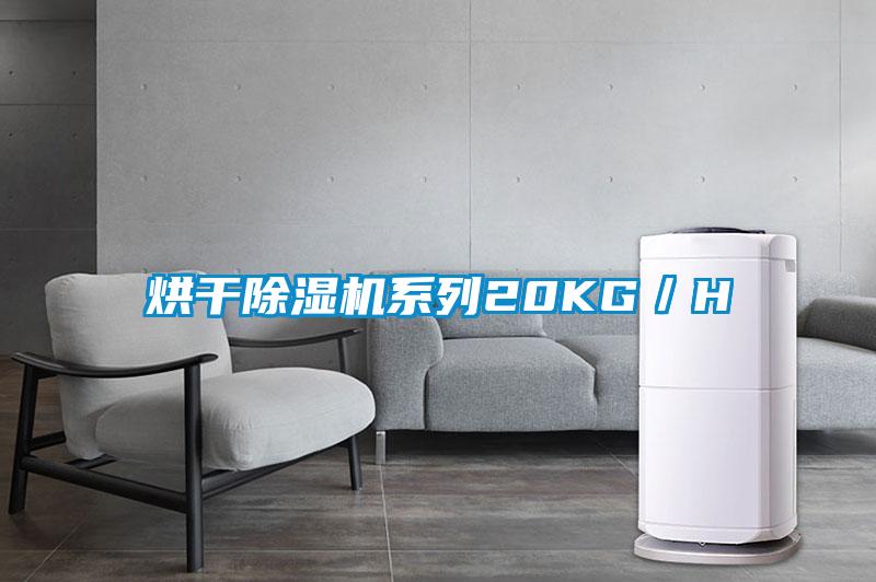 烘干除濕機系列20KG/H