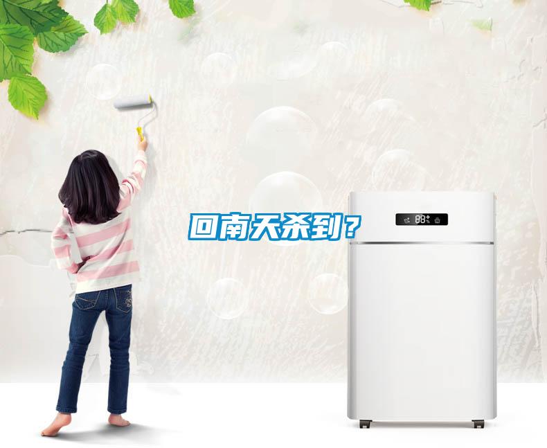 回南天殺到？