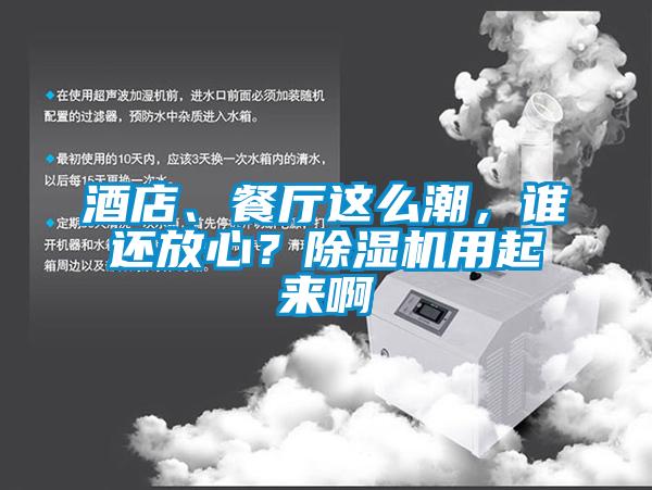酒店、餐廳這么潮，誰還放心？除濕機用起來啊