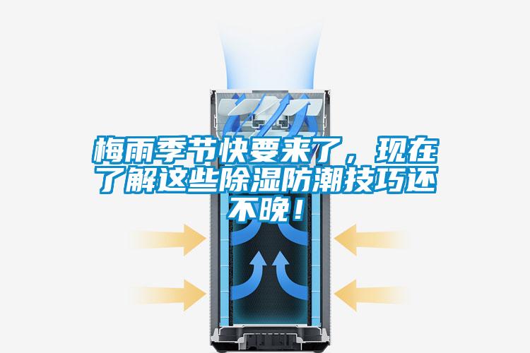 梅雨季節(jié)快要來了，現(xiàn)在了解這些除濕防潮技巧還不晚！