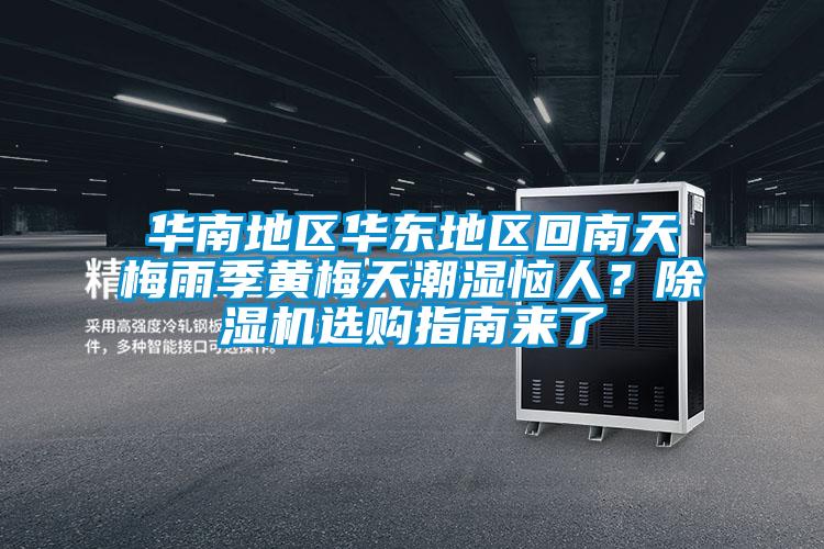 華南地區華東地區回南天梅雨季黃梅天潮濕惱人？除濕機選購指南來了