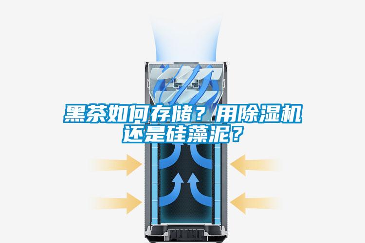 黑茶如何存儲？用除濕機還是硅藻泥？