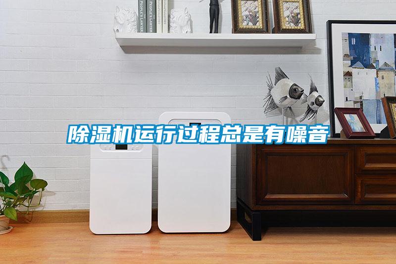 除濕機(jī)運(yùn)行過程總是有噪音