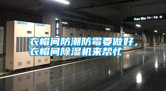 衣帽間防潮防霉要做好，衣帽間除濕機來幫忙
