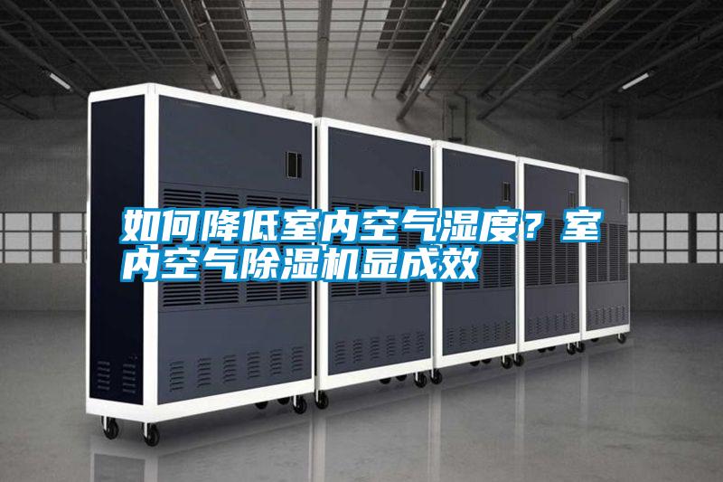 如何降低室內空氣濕度？室內空氣除濕機顯成效