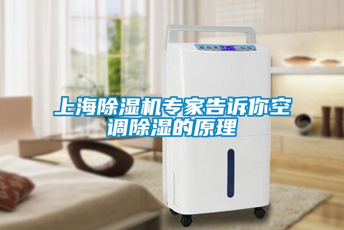 上海除濕機(jī)專家告訴你空調(diào)除濕的原理